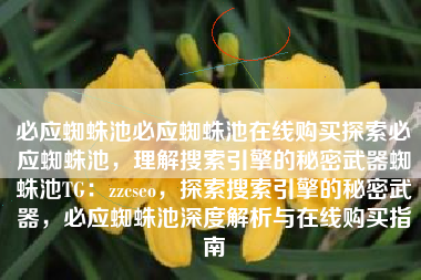 必应蜘蛛池必应蜘蛛池在线购买探索必应蜘蛛池，理解搜索引擎的秘密武器蜘蛛池TG：zzcseo，探索搜索引擎的秘密武器，必应蜘蛛池深度解析与在线购买指南