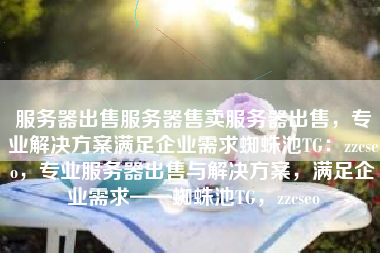 服务器出售服务器售卖服务器出售，专业解决方案满足企业需求蜘蛛池TG：zzcseo，专业服务器出售与解决方案，满足企业需求——蜘蛛池TG，zzcseo