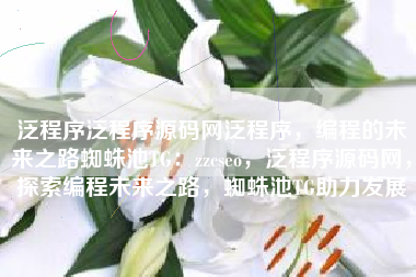 泛程序泛程序源码网泛程序，编程的未来之路蜘蛛池TG：zzcseo，泛程序源码网，探索编程未来之路，蜘蛛池TG助力发展