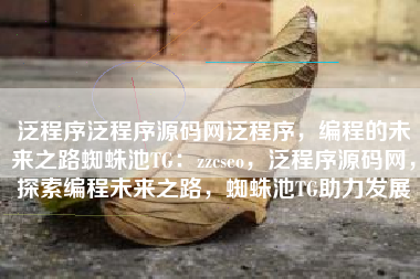 泛程序泛程序源码网泛程序，编程的未来之路蜘蛛池TG：zzcseo，泛程序源码网，探索编程未来之路，蜘蛛池TG助力发展