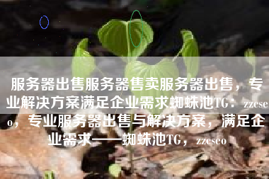 服务器出售服务器售卖服务器出售，专业解决方案满足企业需求蜘蛛池TG：zzcseo，专业服务器出售与解决方案，满足企业需求——蜘蛛池TG，zzcseo