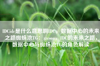 IDCidc是什么意思啊IDC，数据中心的未来之路蜘蛛池TG：zzcseo，IDC的未来之路，数据中心与蜘蛛池TG的角色解读