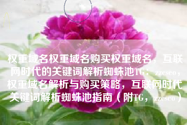 权重域名权重域名购买权重域名，互联网时代的关键词解析蜘蛛池TG：zzcseo，权重域名解析与购买策略，互联网时代关键词解析蜘蛛池指南（附TG，zzcseo）