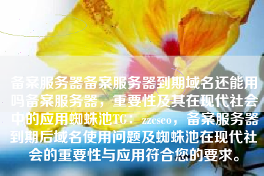 备案服务器备案服务器到期域名还能用吗备案服务器，重要性及其在现代社会中的应用蜘蛛池TG：zzcseo，备案服务器到期后域名使用问题及蜘蛛池在现代社会的重要性与应用符合您的要求。
