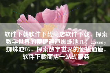 软件下载软件下载商店软件下载，探索数字世界的便捷通道蜘蛛池TG：zzcseo，蜘蛛池TG，探索数字世界的便捷通道，软件下载商店一站式服务