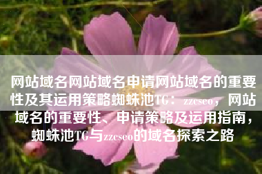 网站域名网站域名申请网站域名的重要性及其运用策略蜘蛛池TG：zzcseo，网站域名的重要性、申请策略及运用指南，蜘蛛池TG与zzcseo的域名探索之路