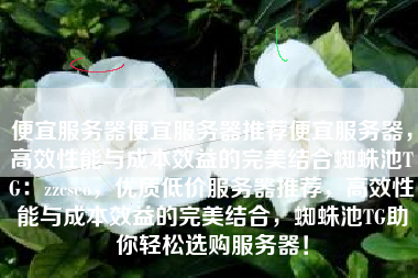 便宜服务器便宜服务器推荐便宜服务器，高效性能与成本效益的完美结合蜘蛛池TG：zzcseo，优质低价服务器推荐，高效性能与成本效益的完美结合，蜘蛛池TG助你轻松选购服务器！