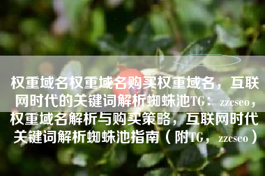 权重域名权重域名购买权重域名，互联网时代的关键词解析蜘蛛池TG：zzcseo，权重域名解析与购买策略，互联网时代关键词解析蜘蛛池指南（附TG，zzcseo）