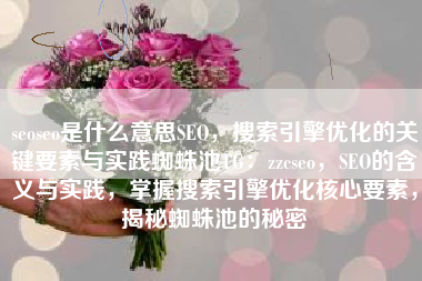 seoseo是什么意思SEO，搜索引擎优化的关键要素与实践蜘蛛池TG：zzcseo，SEO的含义与实践，掌握搜索引擎优化核心要素，揭秘蜘蛛池的秘密