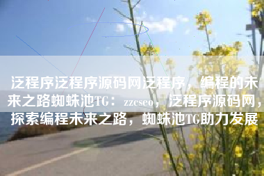 泛程序泛程序源码网泛程序，编程的未来之路蜘蛛池TG：zzcseo，泛程序源码网，探索编程未来之路，蜘蛛池TG助力发展