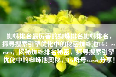 蜘蛛排名最厉害的蜘蛛排名蜘蛛排名，探寻搜索引擎优化中的秘密蜘蛛池TG：zzcseo，揭秘蜘蛛排名秘密，探寻搜索引擎优化中的蜘蛛池奥秘，TG群号zzcseo分享！