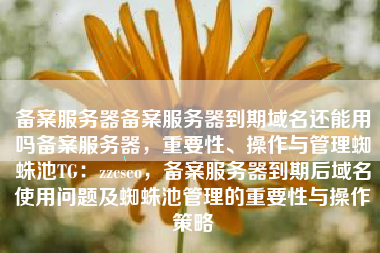 备案服务器备案服务器到期域名还能用吗备案服务器，重要性、操作与管理蜘蛛池TG：zzcseo，备案服务器到期后域名使用问题及蜘蛛池管理的重要性与操作策略