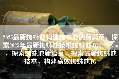 2025最新蜘蛛池构建蜘蛛池的新篇章，探索2025年最新蜘蛛池技术蜘蛛池TG：zzcseo，探索蜘蛛池新篇章，探索最新蜘蛛池技术，构建高效蜘蛛池TG