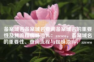 备案域名备案域名查询备案域名的重要性及其流程蜘蛛池TG：zzcseo，备案域名的重要性、查询流程与蜘蛛池TG，zzcseo