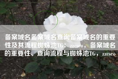 备案域名备案域名查询备案域名的重要性及其流程蜘蛛池TG：zzcseo，备案域名的重要性、查询流程与蜘蛛池TG，zzcseo