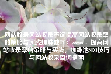 网站收录网站收录查询提高网站收录率的策略与实践蜘蛛池TG：zzcseo，提高网站收录率的策略与实践，蜘蛛池SEO技巧与网站收录查询指南