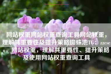 网站权重网站权重查询工具网站权重，理解其重要性及提升策略蜘蛛池TG：zzcseo，网站权重，理解其重要性、提升策略及使用网站权重查询工具