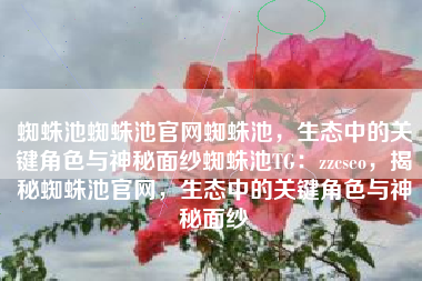 蜘蛛池蜘蛛池官网蜘蛛池，生态中的关键角色与神秘面纱蜘蛛池TG：zzcseo，揭秘蜘蛛池官网，生态中的关键角色与神秘面纱