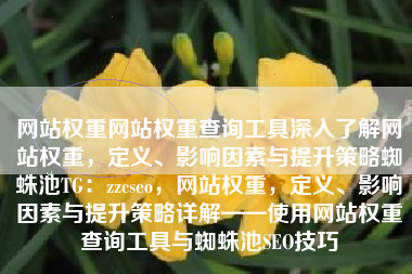 网站权重网站权重查询工具深入了解网站权重，定义、影响因素与提升策略蜘蛛池TG：zzcseo，网站权重，定义、影响因素与提升策略详解——使用网站权重查询工具与蜘蛛池SEO技巧