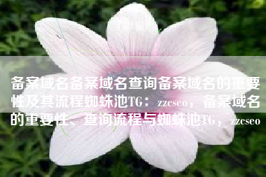 备案域名备案域名查询备案域名的重要性及其流程蜘蛛池TG：zzcseo，备案域名的重要性、查询流程与蜘蛛池TG，zzcseo