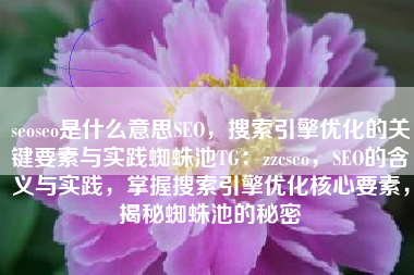 seoseo是什么意思SEO，搜索引擎优化的关键要素与实践蜘蛛池TG：zzcseo，SEO的含义与实践，掌握搜索引擎优化核心要素，揭秘蜘蛛池的秘密