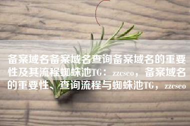 备案域名备案域名查询备案域名的重要性及其流程蜘蛛池TG：zzcseo，备案域名的重要性、查询流程与蜘蛛池TG，zzcseo