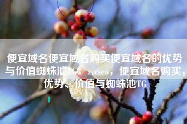 便宜域名便宜域名购买便宜域名的优势与价值蜘蛛池TG：zzcseo，便宜域名购买，优势、价值与蜘蛛池TG