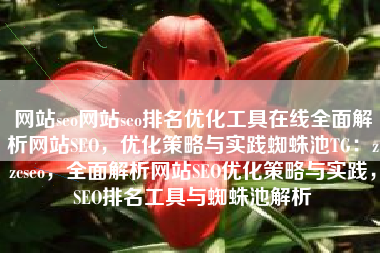 网站seo网站seo排名优化工具在线全面解析网站SEO，优化策略与实践蜘蛛池TG：zzcseo，全面解析网站SEO优化策略与实践，SEO排名工具与蜘蛛池解析