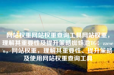 网站权重网站权重查询工具网站权重，理解其重要性及提升策略蜘蛛池TG：zzcseo，网站权重，理解其重要性、提升策略及使用网站权重查询工具
