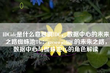 IDCidc是什么意思啊IDC，数据中心的未来之路蜘蛛池TG：zzcseo，IDC的未来之路，数据中心与蜘蛛池TG的角色解读
