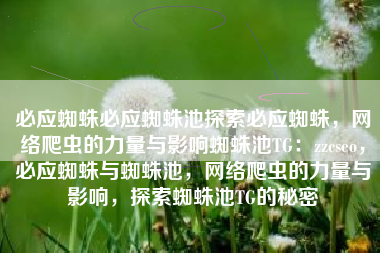 必应蜘蛛必应蜘蛛池探索必应蜘蛛，网络爬虫的力量与影响蜘蛛池TG：zzcseo，必应蜘蛛与蜘蛛池，网络爬虫的力量与影响，探索蜘蛛池TG的秘密