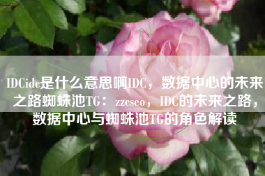 IDCidc是什么意思啊IDC，数据中心的未来之路蜘蛛池TG：zzcseo，IDC的未来之路，数据中心与蜘蛛池TG的角色解读