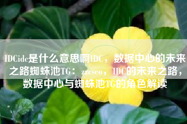 IDCidc是什么意思啊IDC，数据中心的未来之路蜘蛛池TG：zzcseo，IDC的未来之路，数据中心与蜘蛛池TG的角色解读