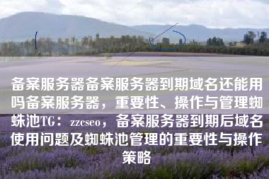 备案服务器备案服务器到期域名还能用吗备案服务器，重要性、操作与管理蜘蛛池TG：zzcseo，备案服务器到期后域名使用问题及蜘蛛池管理的重要性与操作策略