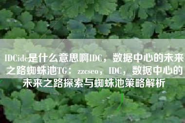 IDCidc是什么意思啊IDC，数据中心的未来之路蜘蛛池TG：zzcseo，IDC，数据中心的未来之路探索与蜘蛛池策略解析