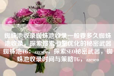 蜘蛛池收录蜘蛛池收录一般要多久蜘蛛池收录，探索搜索引擎优化的秘密武器蜘蛛池TG：zzcseo，探索SEO秘密武器，蜘蛛池收录时间与策略TG，zzcseo