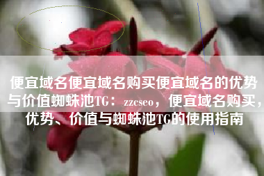 便宜域名便宜域名购买便宜域名的优势与价值蜘蛛池TG：zzcseo，便宜域名购买，优势、价值与蜘蛛池TG的使用指南