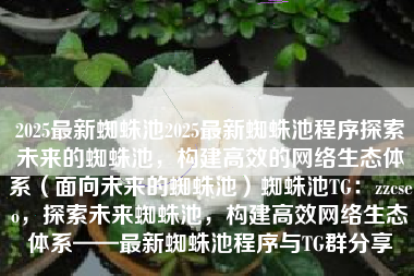 2025最新蜘蛛池2025最新蜘蛛池程序探索未来的蜘蛛池，构建高效的网络生态体系（面向未来的蜘蛛池）蜘蛛池TG：zzcseo，探索未来蜘蛛池，构建高效网络生态体系——最新蜘蛛池程序与TG群分享