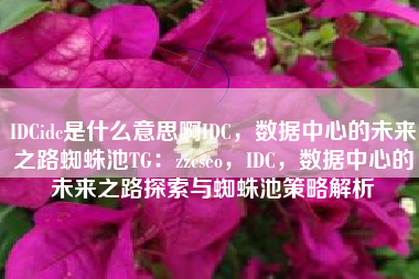 IDCidc是什么意思啊IDC，数据中心的未来之路蜘蛛池TG：zzcseo，IDC，数据中心的未来之路探索与蜘蛛池策略解析