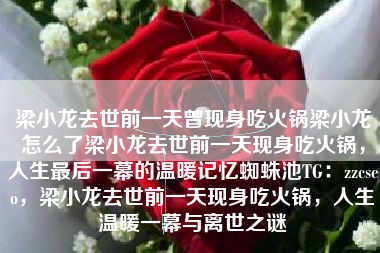 梁小龙去世前一天曾现身吃火锅梁小龙怎么了梁小龙去世前一天现身吃火锅，人生最后一幕的温暖记忆蜘蛛池TG：zzcseo，梁小龙去世前一天现身吃火锅，人生温暖一幕与离世之谜