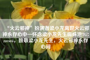 “火云邪神”扮演者梁小龙离世火云邪神永存心中—怀念梁小龙先生蜘蛛池TG：zzcseo，致敬梁小龙先生，火云邪神永存心间