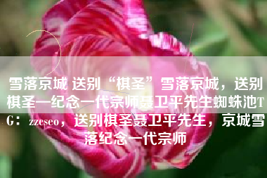 雪落京城 送别“棋圣”雪落京城，送别棋圣—纪念一代宗师聂卫平先生蜘蛛池TG：zzcseo，送别棋圣聂卫平先生，京城雪落纪念一代宗师