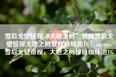 雪后戈壁惊现“大地之树”景观雪后戈壁惊现大地之树景观蜘蛛池TG：zzcseo，雪后戈壁奇观，大地之树惊艳蜘蛛池TG