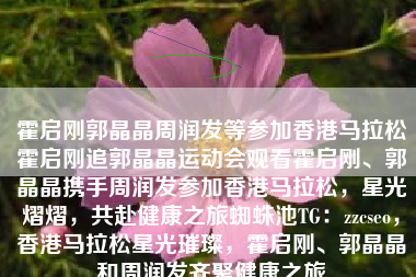 霍启刚郭晶晶周润发等参加香港马拉松霍启刚追郭晶晶运动会观看霍启刚、郭晶晶携手周润发参加香港马拉松，星光熠熠，共赴健康之旅蜘蛛池TG：zzcseo，香港马拉松星光璀璨，霍启刚、郭晶晶和周润发齐聚健康之旅