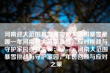 河南迎大范围暴雪河南迎大范围暴雪是哪一年河南迎大范围暴雪，应对挑战与守护家园蜘蛛池TG：zzcseo，河南大范围暴雪挑战与守护家园，年份回顾与应对之策