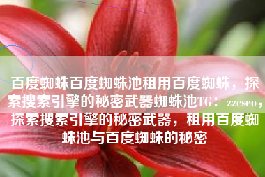 百度蜘蛛百度蜘蛛池租用百度蜘蛛，探索搜索引擎的秘密武器蜘蛛池TG：zzcseo，探索搜索引擎的秘密武器，租用百度蜘蛛池与百度蜘蛛的秘密