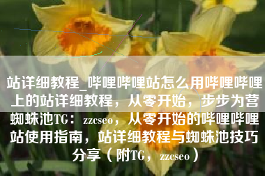 站详细教程_哔哩哔哩站怎么用哔哩哔哩上的站详细教程，从零开始，步步为营蜘蛛池TG：zzcseo，从零开始的哔哩哔哩站使用指南，站详细教程与蜘蛛池技巧分享（附TG，zzcseo）
