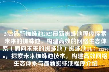 2025最新蜘蛛池2025最新蜘蛛池程序探索未来的蜘蛛池，构建高效的网络生态体系（面向未来的蜘蛛池）蜘蛛池TG：zzcseo，探索未来蜘蛛池技术，构建高效网络生态体系与最新蜘蛛池程序介绍
