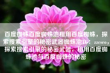 百度蜘蛛百度蜘蛛池租用百度蜘蛛，探索搜索引擎的秘密武器蜘蛛池TG：zzcseo，探索搜索引擎的秘密武器，租用百度蜘蛛池与百度蜘蛛的秘密