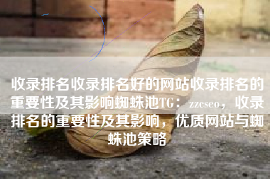 收录排名收录排名好的网站收录排名的重要性及其影响蜘蛛池TG：zzcseo，收录排名的重要性及其影响，优质网站与蜘蛛池策略